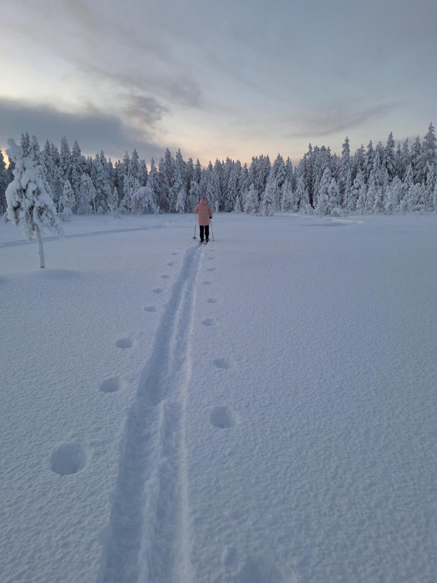 Villa Arctic Light Rovaniemi Bagian luar foto